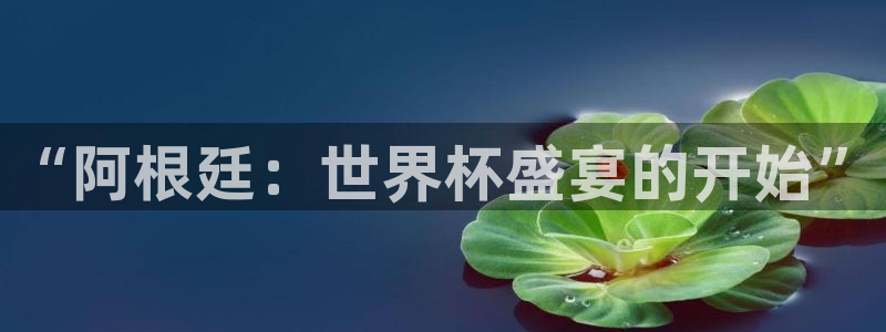 2026世界杯赛制:“阿根廷:世界杯盛宴的开始”