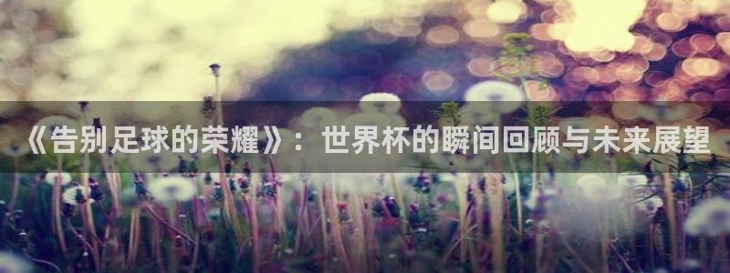 世界杯预选赛2026:《告别足球的荣耀》:世界杯的瞬间回顾与未来展望