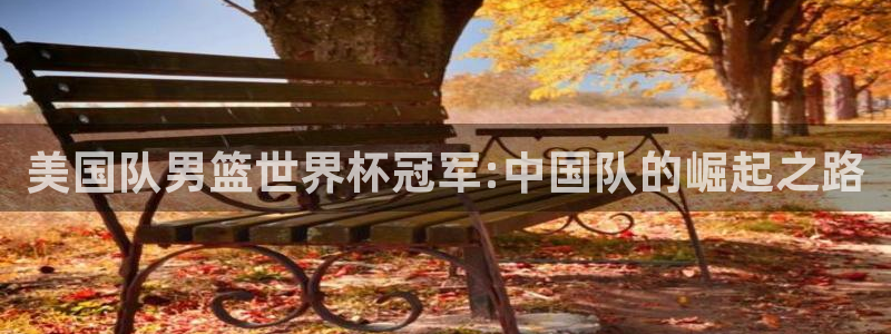 欧洲世界杯预选赛:美国队男篮世界杯冠军:中国队的崛起之路