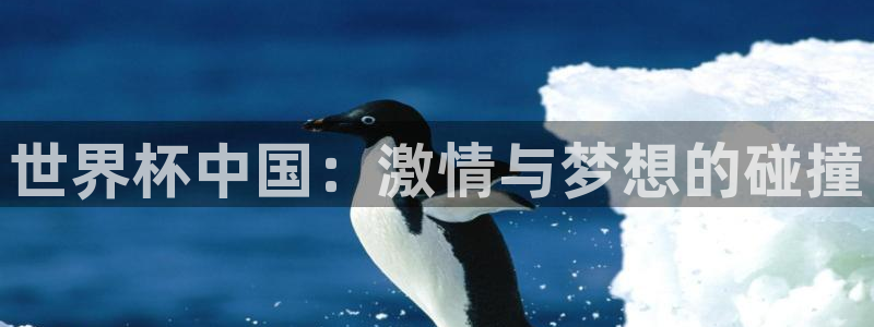 世界杯葡萄牙赛程:世界杯中国:激情与梦想的碰撞