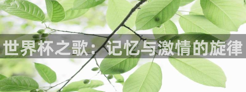 世界杯预选赛欧洲赛区积分榜:世界杯之歌:记忆与激情的旋律