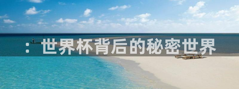 世界杯::世界杯背后的秘密世界