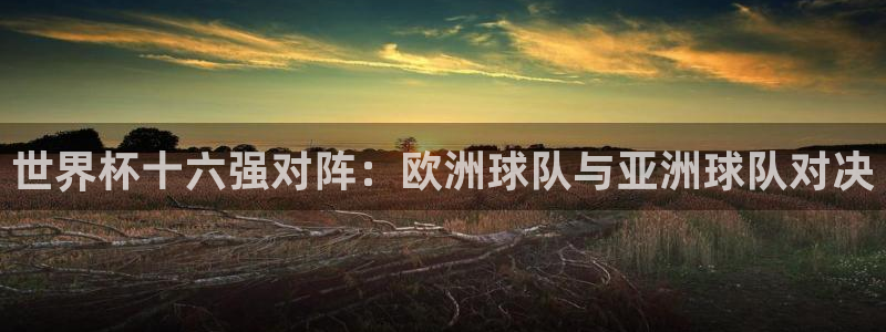 欧洲世预赛赛程表:世界杯十六强对阵:欧洲球队与亚洲球队对决