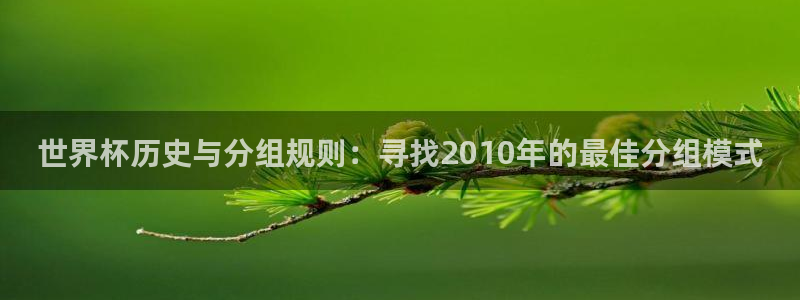 世界杯48支球队赛制:世界杯历史与分组规则:寻找2010年的最佳分组模式