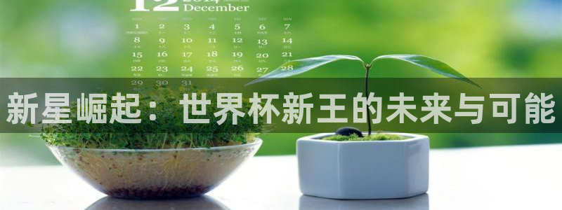 世界杯足球2026:新星崛起:世界杯新王的未来与可能