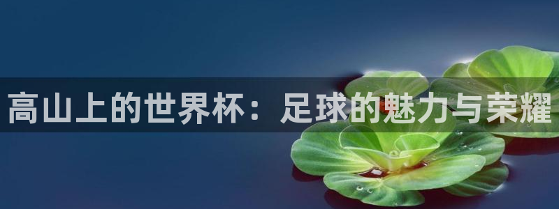 世界杯预选赛2026:高山上的世界杯:足球的魅力与荣耀