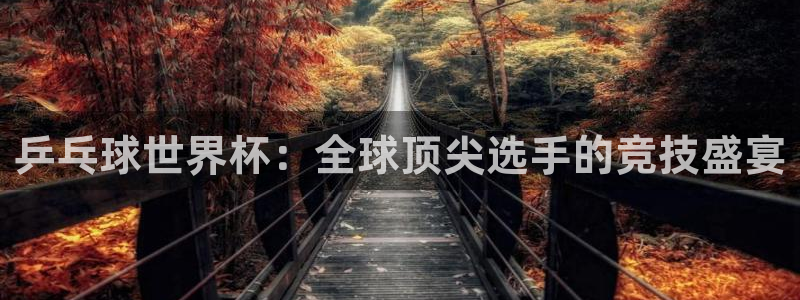 世界杯今年:乒乓球世界杯:全球顶尖选手的竞技盛宴