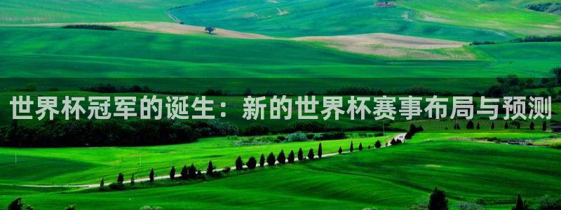 2026世界杯足球赛程时间表:世界杯冠军的诞生:新的世界杯赛事布局与预测