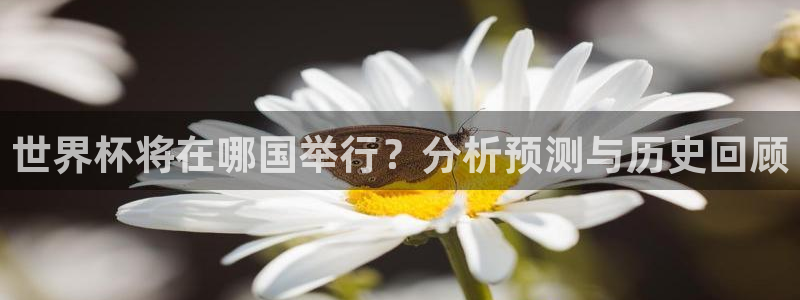 2026世界杯足球赛程时间表:世界杯将在哪国举行?分析预测与历史回顾