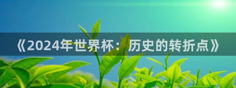 世界杯欧洲区预选赛:《2024年世界杯:历史的转折点》