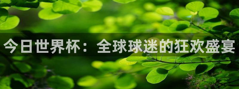 世界杯直播高清:今日世界杯:全球球迷的狂欢盛宴